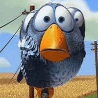 Cruizzzzer (@cruizzzzer) Twitter profile photo