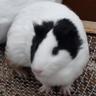 tokyoracecourse's profile picture. 横浜発