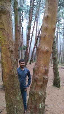 vickysankar2000's profile picture. 