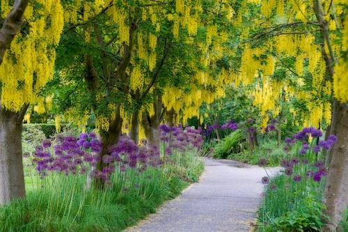 jayaelle's profile picture. Fuelled by curiosity, delighted by discovery & inspired by beauty.