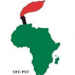 PYU is the mother body of African Youth Organizations serving the Youth under African Union. It was created in 1962 by African Heads of State.PYU HQ is in Sudan