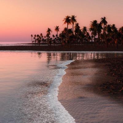 AL_shomooa255's profile picture. 