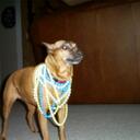 Corey Rosen - @cdrosen2 - Twitter