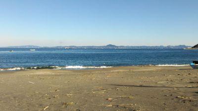 aroma_bird's profile picture. 政治や音楽その他。日本🇯🇵を想い、世界🌏️も想う。