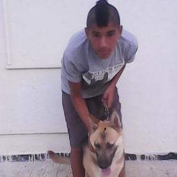 jendoubihamza1's profile picture. 