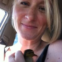 Melanie Pavlides (@pavlidesm) 's Twitter Profile