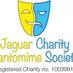 Jaguar Pantomime (@pantomimejaguar) Twitter profile photo Jaguar Pantomime (@pantomimejaguar) Twitter profile photo