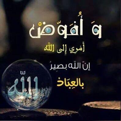 mohamedzahra123's profile picture. 