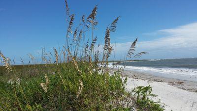 DollyWhitt's profile picture. 