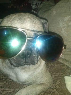 I am sexy and shut up bitch! 乂❤‿❤乂