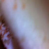 ... (@mohamdh4) 's Twitter Profile