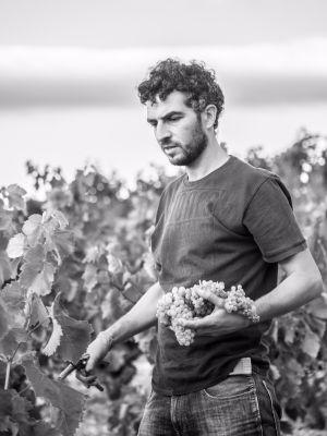 Técnico de viticultura y enología. Periodista. Autónomo porque les resulta más barato. #Gredos #Rioja #Extremadura