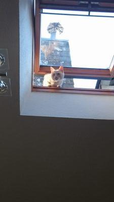 bea_mns's profile picture. Chef de Projet Digital