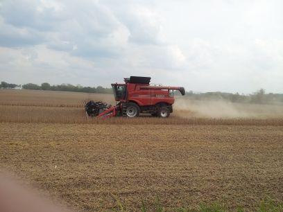 Grain farmer in Madison and Champaign County Ohio