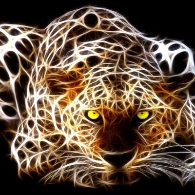carloskaavo's profile picture. 