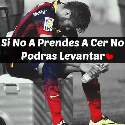 irasemq3's profile picture. 