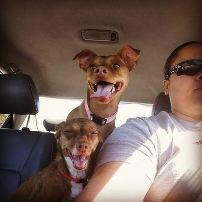 rosiethethrower's profile picture. High school Spanish teacher. Throws Coach USATF level 2. Former thrower of 20+years.