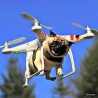 DroneEddie (@droneeddie) 's Twitter Profile