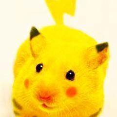 omoshiro_pic___'s profile picture. Twitter内で評判の面白画像をツイートしてつきます。おもしろいと思った方、感動した方、なるほどと思った方は、是非リツートやフォローをお願いします＾＾このアカウントをフォローすればみなさんも面白い画像が沢山見られますよ＾＾