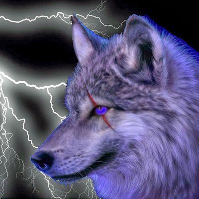 What's up wolf pack I am K2 ThunderWolf and I have a YouTube channel called... you guessed it K2 ThunderWolf there I do games and Vlogs.