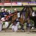 MowbrayRacingStables (@mowbraystables) Twitter profile photo MowbrayRacingStables (@mowbraystables) Twitter profile photo