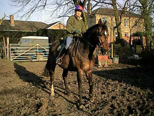 hackingjacket's profile picture. 