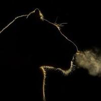 بو سند. (@mohd2013mohd) 's Twitter Profile