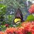 prasadkriskp's profile image