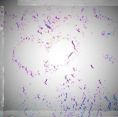 DindafazdaUmmah's profile picture. 