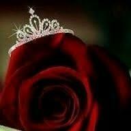 39995Dania's profile picture. 