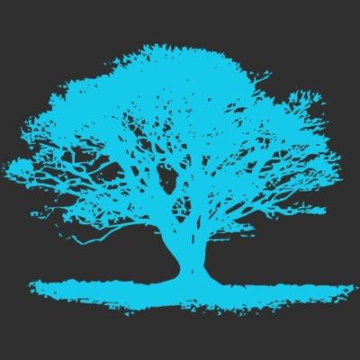 br_status's profile picture. 