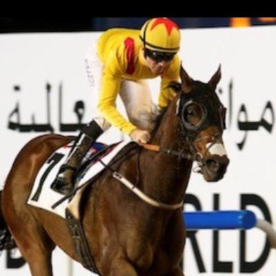 Professional Jockey , Ambassador for HH Sheikh Mansour Bin Zayed Al Nahyan Global Arabian Flat Racing Festival , Gooner & Proud Dad To My 4 Beautiful Kids