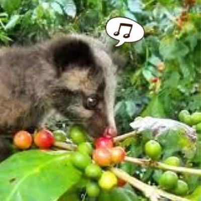 kopi_suka7's profile picture. 