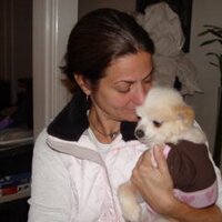sene (@sene) 's Twitter Profile