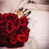 المعمري (@j0walee_d) Twitter profile photo