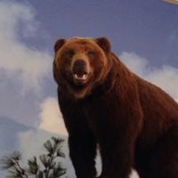 Bear history(@archaeobears) 's Twitter Profile Photo