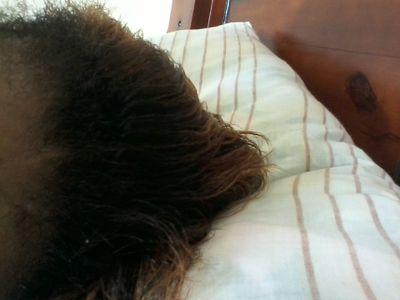 SandraR35362836's profile picture. 