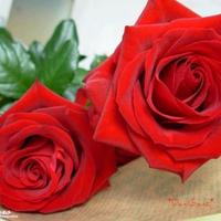 الخطابه ام كياآآآن (@kayaan121) 's Twitter Profile Photo