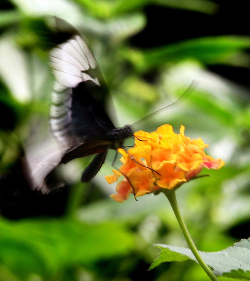 jlschneider's profile picture. 