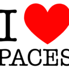 AlexisSpiz's profile picture. année sabbatique