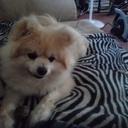 Nancy Temple - @NancyNancyteple - Twitter