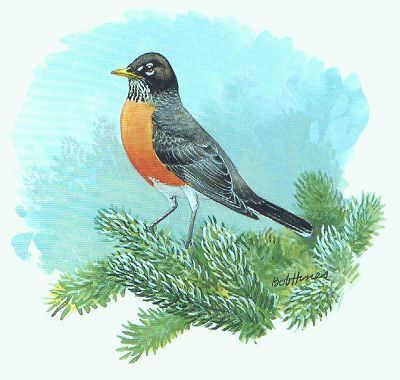 roundrobin's profile picture. The term round-robin describes correspondence to a single address authored or signed by numerous individuals.