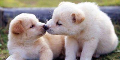 hi_Flyday's profile picture. 