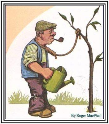 essidaress's profile picture. 