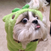 Sheetsu (@sheetsuhq) Twitter profile photo Sheetsu (@sheetsuhq) Twitter profile photo