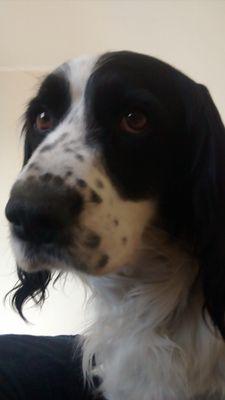 miguelviv's profile picture. 