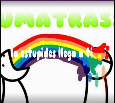 Lunes: Destiny
Martes: Serie de minecraft
Miércoles: Noticias sobre juegos nuevos y actualización de juegos
Jueves:Cortos de videojuegos
Viernes: Lo Que sea
