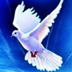 Peaceadvocactes's profile picture. We advocate for  a hate-free, trouble-free, peaceful, just, fair, intolerance-free, non-violent and prosperous world.
