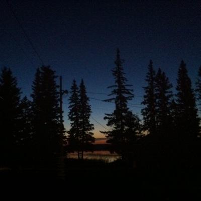 JFFigurations's profile picture. 