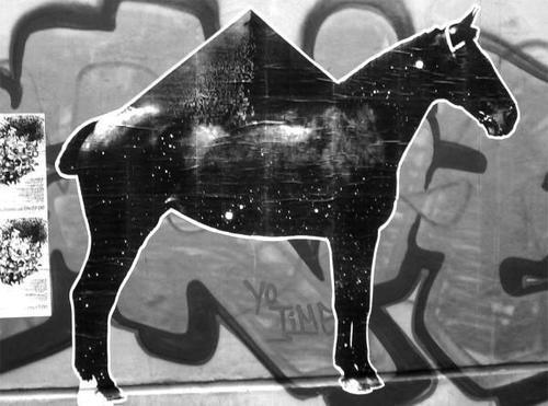 SiriusBerlin's profile picture. Sirius is an artist collective operating in berlin. dedicated to all sorts of analog, digital, moving, sonic, and visual art... partys and love.